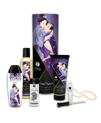 Coffret collection plaisirs charnels 5 produits Shunga + un collier de perles 